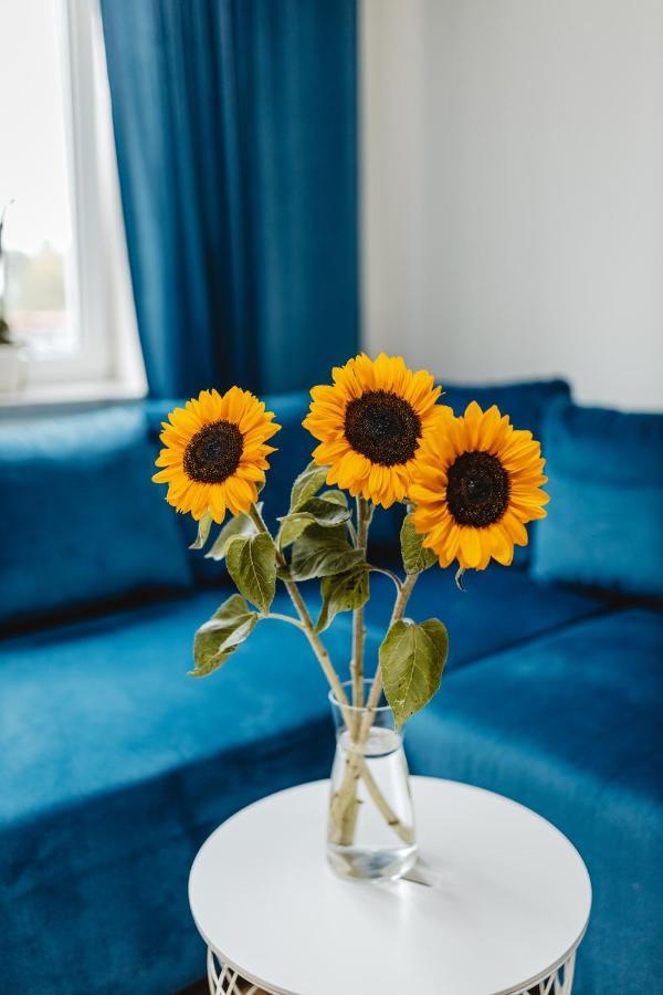 לובלין Apartament Blue מראה חיצוני תמונה